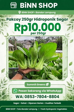 Pakcoy Hidroponik (250gr)