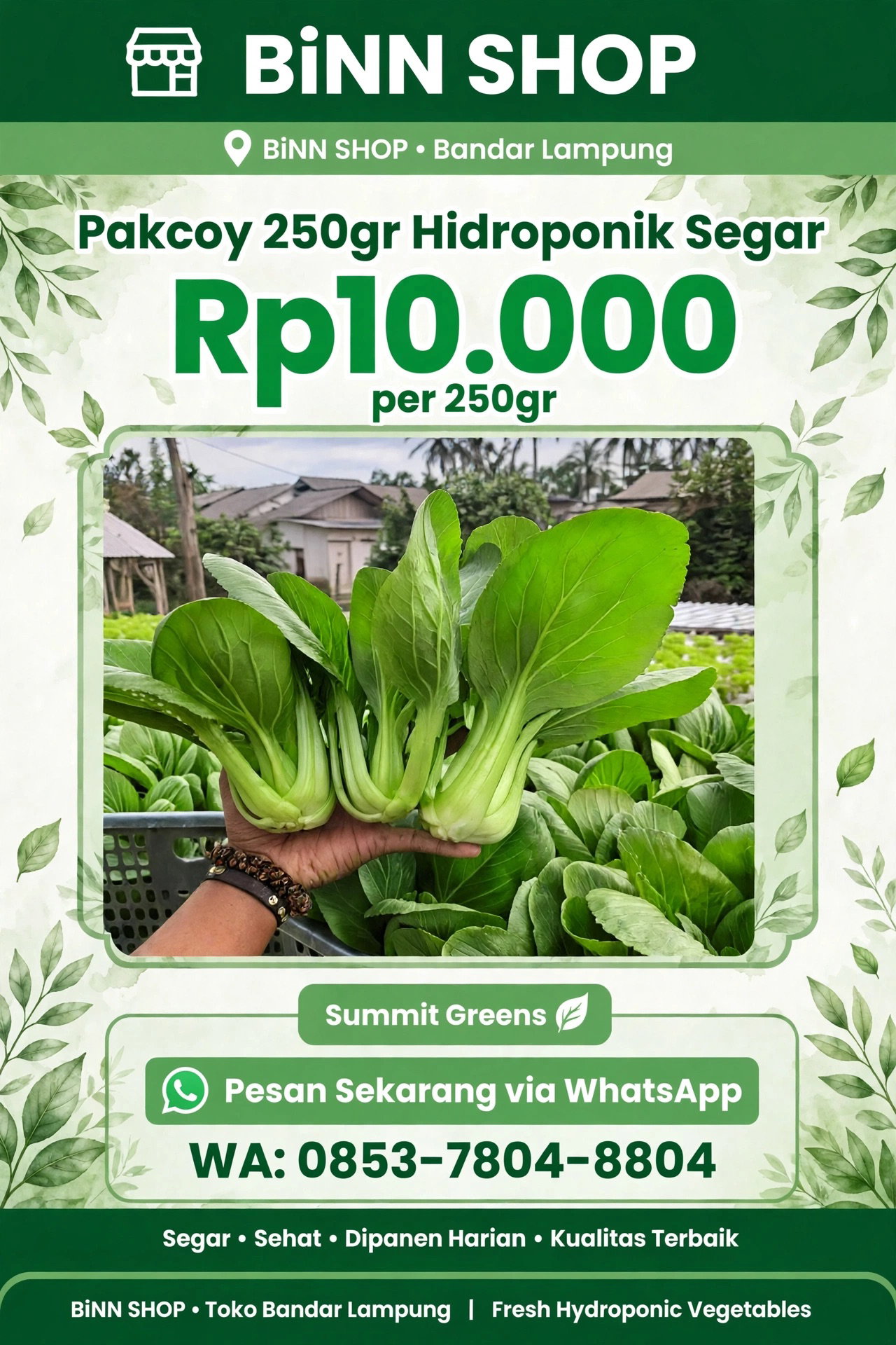 Pakcoy Hidroponik (250gr)