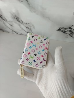 Lv cardholder rainbow