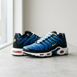 Shoe